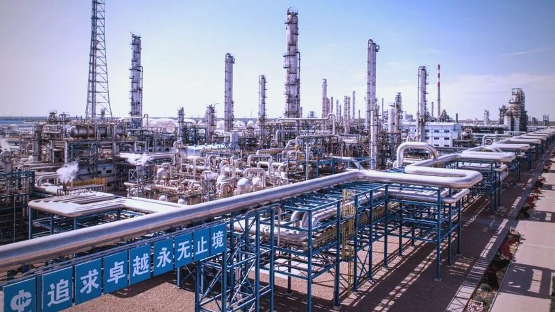 高分子防水卷材与沥青卷材：性能对比与适用场景分析